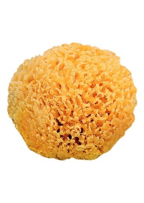 Esponja natural Saro